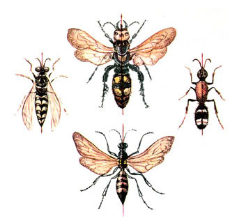 , ,       - www.Dizayne.ru